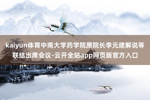 kaiyun体育中南大学药学院原院长李元建解说等联结出席会议-云开全站app网页版官方入口