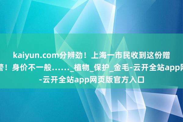 kaiyun.com分辨劲！上海一市民收到这份赠礼后，立即报警！身价不一般……_植物_保护_金毛-云开全站app网页版官方入口